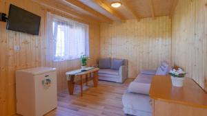 a living room with a couch and a table at Letnia-Sielanka by Aparts Care in Sianozety