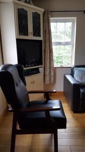 TV a/nebo společenská místnost v ubytování Gormanstown House Apt, The Island
