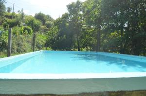a large blue swimming pool in a yard at Carneiro Country Houses Casa das Batatas in Amarante