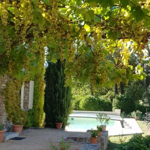Vrt ispred objekta Le Mas Vigneron