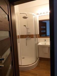 a bathroom with a shower and a sink at Rowy Apartament.b5 in Rowy +39 photos
