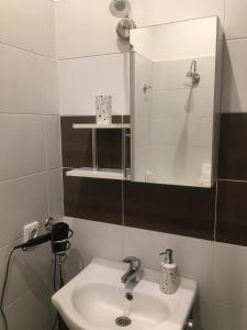 a bathroom with a sink and a mirror at Kranto Luxe Stay in Panevėžys