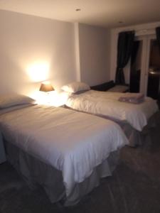 duas camas num quarto de hotel com uma luz acesa em The Annexe em Bournemouth
