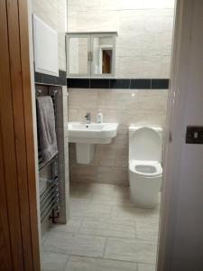 ein Bad mit einem WC und einem Waschbecken in der Unterkunft The Annexe in Bournemouth