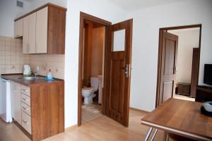 a kitchen with a sink and a toilet in a room at Sloneczny Zakatek in Dębina