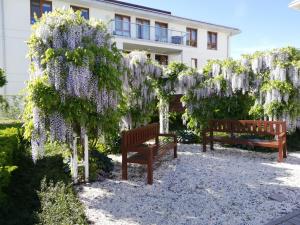 Zahrada ubytování Apartament Jaśminowy Shiraz Gdynia