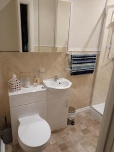 a bathroom with a white toilet and a sink at Lawnswood Guest House in Torquay +40 photos