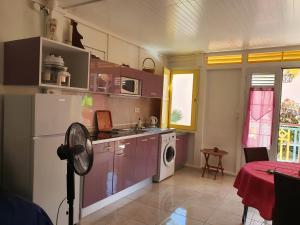 a kitchen with a refrigerator and a washing machine at Douceur du Sud in Sainte-Anne