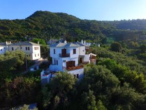 an aerial view of a house on a hill at Maistros Studios in Damouchari