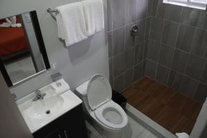 a bathroom with a toilet and a sink and a shower at Hotel HC Express in Monterrey