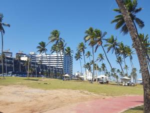 vistas a una playa con palmeras y a un edificio en 1/4 MOBILIADO EM FRENTE À PRAIA, EM SALVADOR BAHIA, en Salvador