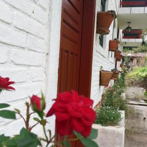 
a red door leading to a garden with flowers in it at CHALES MARCiTA CHALE in Monte Verde
