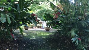 Vườn quanh Martinique Treehouse