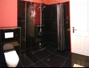 a bathroom with a toilet and a shower with a shower at Bismarck-Apartment in Kaiserslautern