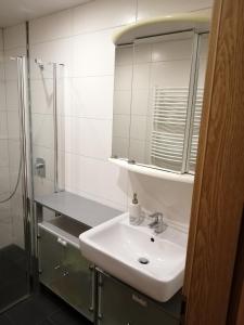 a bathroom with a sink and a shower and a mirror at Moderne ganze Ferienwohnung 1km zum FunPark und nur 15 Minuten nach Nürnberg in Zirndorf