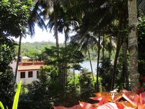 uma vista do jardim de uma casa com palmeiras em KOON COTTAGE em Kandy