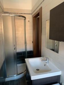 a bathroom with a sink and a shower at Appartamento “La Corte” in Paderno Dugnano +15 photos