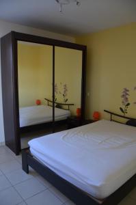 a bedroom with two beds and a large mirror at La Résidence des Fleurs in Lecelles