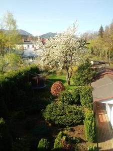 Príroda v okolí apartmánu