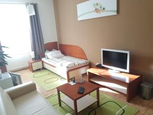 ein Wohnzimmer mit einem Sofa und einem TV in der Unterkunft Alex Pension in Prešov