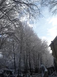 Tamerland-faraya v zimě