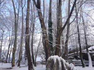 Tamerland-faraya v zimě