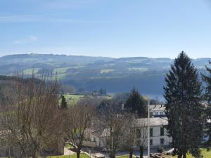 a view of a house with trees in the foreground at Pensi&oacute;n Portomi&ntilde;o in Portomarin