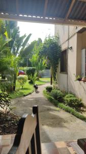 a dog walking down a path next to a building at Pousada Aloes in Paraty