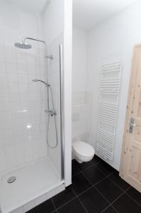 un bagno con doccia e WC di FeWo 2 Markranstädt a Markranstädt