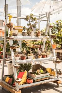 Jídlo v ubytování v soukromí nebo okolí