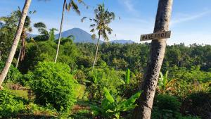 un letrero de la calle en una palmera en un bosque en Hara Bali Eco Homestay, en Balian