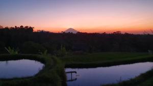 Gallery image of Hara Bali Eco Homestay in Balian