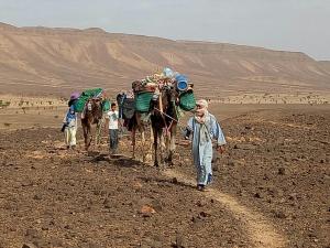Khách lưu trú tại Sahara Peace