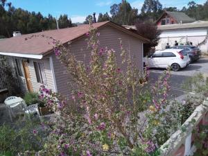a house with a lot of flowers in the yard at Central 390 Isla Negra in Isla Negra