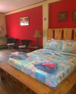 1 dormitorio con 1 cama grande y paredes rojas en La Terraza Verde, en Drake