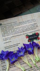 Fotografie z fotogalerie ubytování ThalassaGarden Hotel - Pousada v destinaci Pipa