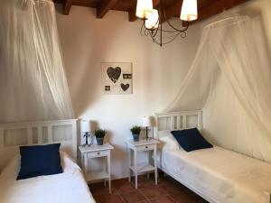 Giường trong phòng chung tại Casablanca