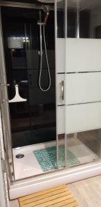 a bathroom with a shower with a glass door at Studio avec sauna au calme à 15 min de Colmar in Trois-Épis