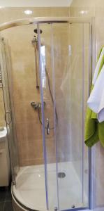 W łazience znajduje się prysznic ze szklanymi drzwiami. w obiekcie Lion Apartment w Andrychowie