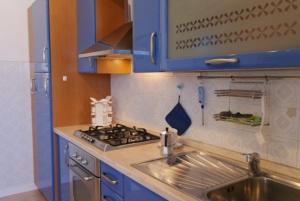 Kuchyňa alebo kuchynka v ubytovaní Blue Home + 2 fotografie