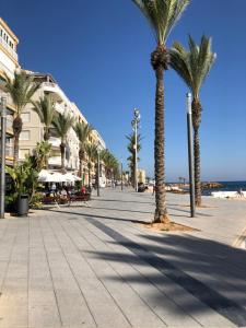 a row of palm trees on a sidewalk near the beach at La Mata Beach - Studio - Appartement - Miramar XI - Torrevieja in Torrevieja