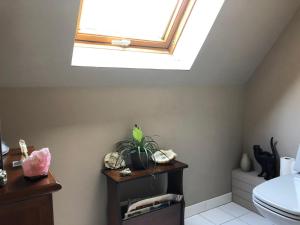 a bathroom with a toilet and a skylight at Côté Coteau in Villiers-sur-Loir