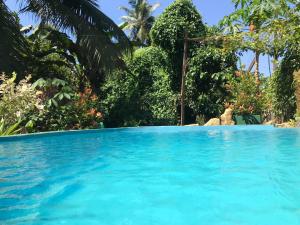 a swimming pool with blue water and trees at Earth House Sri Lanka in Dodangoda