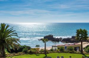 una vista di una spiaggia con palme e l'oceano di Apartment Aveiros Beach- D´Alma Amado a Vale de Pedras