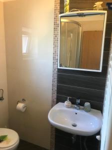 ein Badezimmer mit einem Waschbecken, einem Spiegel und einem WC in der Unterkunft Apartman Voch in Zambratija
