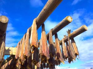 Fotografie z fotogalerie ubytování Fishermans Dock Lofoten v destinaci Ballstad