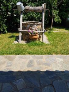 Gallery image of Lemon Flowers Apartments in Nea Skioni