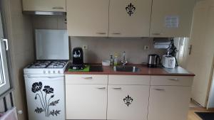 a small kitchen with a stove and a sink at Ferienhhaus-Mobilheim freies WLAN in Sirjansland +23 photos