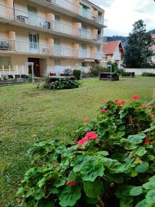 Zahrada ubytování Studio Masol avec terrasse + 10 fotografií