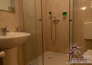 a bathroom with a shower and a sink at Casa din Parc in Covasna